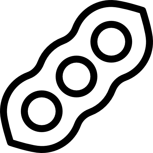 Soy